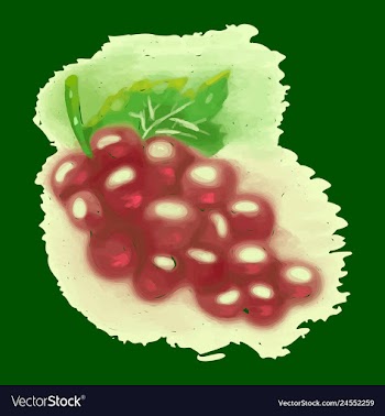 Eco food menu background watercolor hand drawn vector image