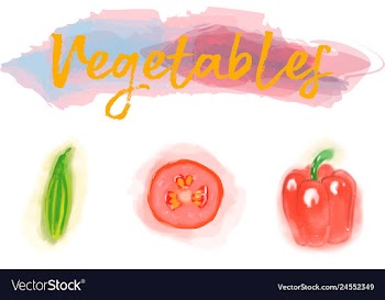 Eco food menu background watercolor hand drawn vector image