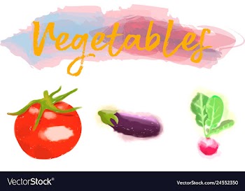 Eco food menu background watercolor hand drawn vector image