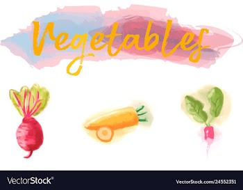 Eco food menu background watercolor hand drawn vector image