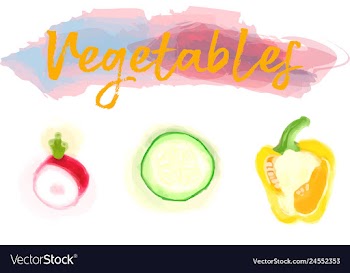 Eco food menu background watercolor hand drawn vector image
