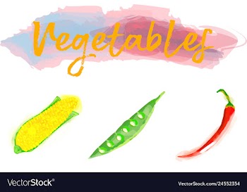 Eco food menu background watercolor hand drawn vector image