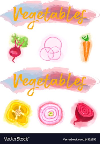 Eco food menu background watercolor hand drawn vector image