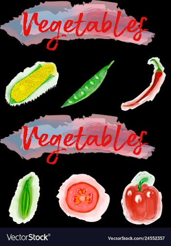 Eco food menu background watercolor hand drawn vector image
