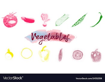 Eco food menu background watercolor hand drawn vector image