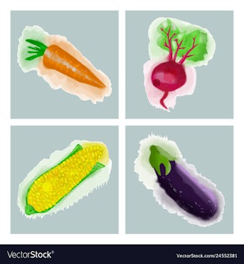 Eco food menu background watercolor hand drawn vector image