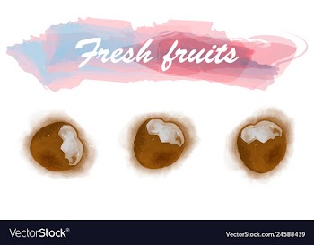 Eco food menu background watercolor hand drawn vector image