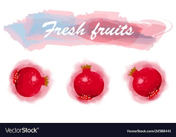 Eco food menu background watercolor hand drawn vector image