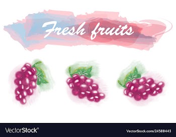 Eco food menu background watercolor hand drawn vector image