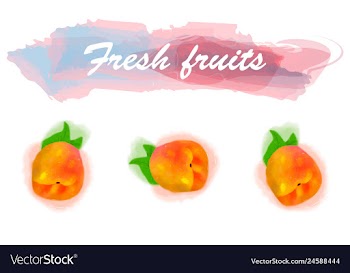 Eco food menu background watercolor hand drawn vector image