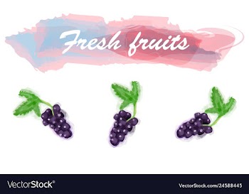 Eco food menu background watercolor hand drawn vector image