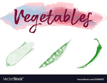 Eco food menu background watercolor hand drawn vector image