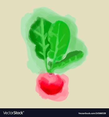 Eco food menu background watercolor hand drawn vector image