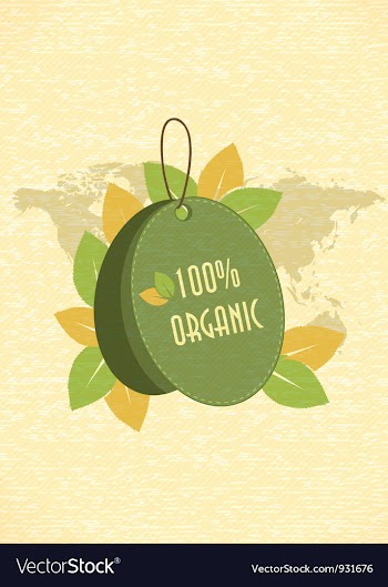 Eco friendly shopping tag vector image