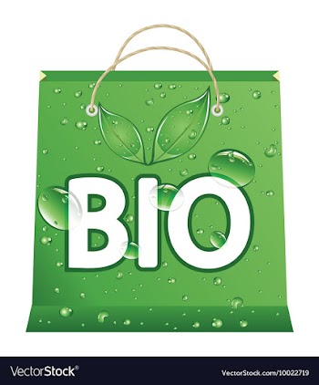Eco shopping bag vector image