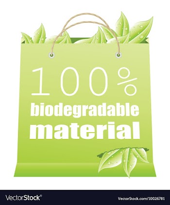 Eco shopping bag vector image
