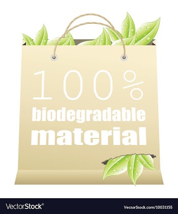 Eco shopping bag vector image