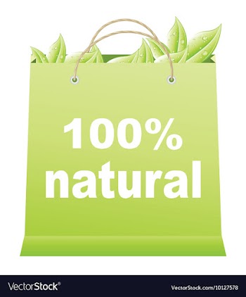 Eco shopping bag vector image