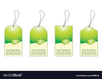 Eco shopping tags vector image