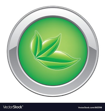 Eco web button with leaves vector image