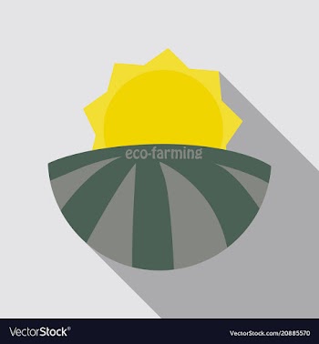 Ecologically clean field and sunrise icon vector image