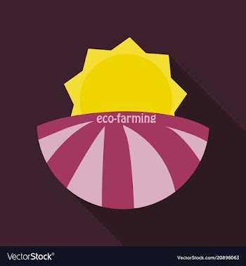 Ecologically clean field and sunrise icon vector image