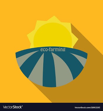 Ecologically clean field and sunrise icon vector image