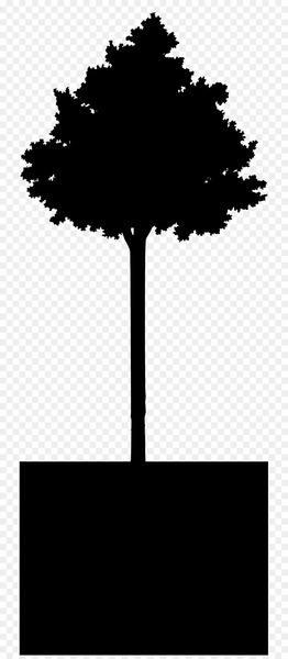 Ecology Green Color World Earth -  