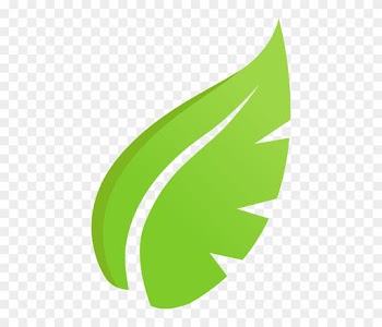 Ecology Leaf, Plant, Green, Ecology - Ecology