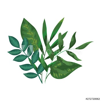 ecology leafs plants and branches nature decoration