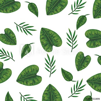 ecology leafs plants and branches nature pattern