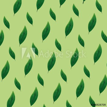ecology leafs plants pattern