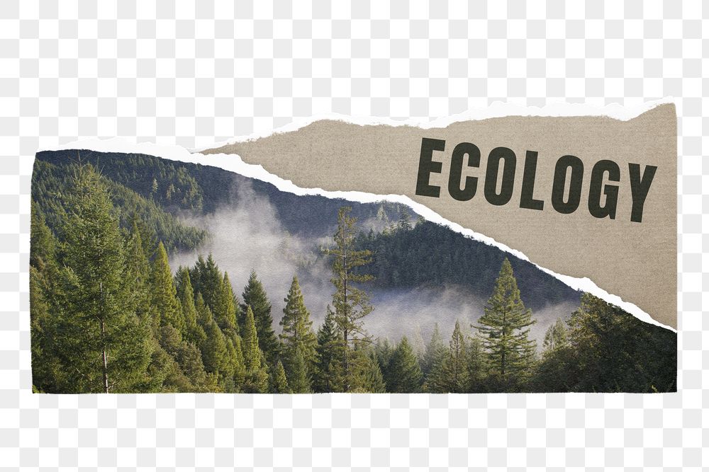 Ecology png ripped paper sticker, | Free PNG - rawpixel