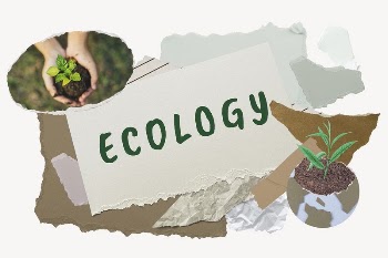 Ecology word typography, environment aesthetic | Free Photo - rawpixel