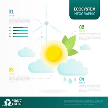 Ecosystem infographic environmental conservat.. | Free stock vector - 524489