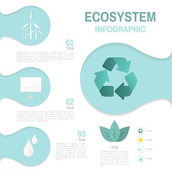 Ecosystem infographic environmental conservat.. | Free stock vector - 524525