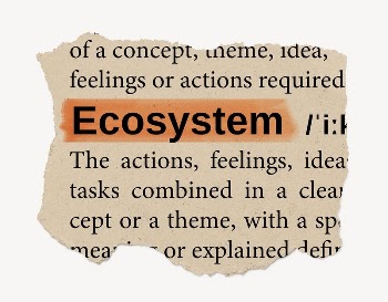 Ecosystem ripped dictionary, editable word | Free PSD - rawpixel