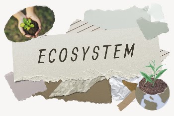 Ecosystem word typography, environment aesthetic | Free Photo - rawpixel