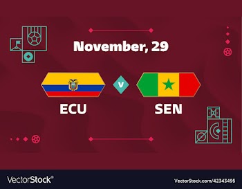 ecuador vs senegal football 2022 group a world