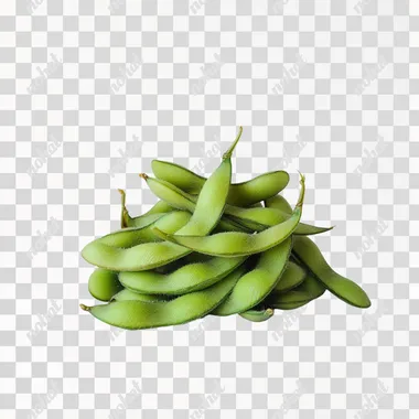 Edamame Seeds Displayed in a Side View Arrangement