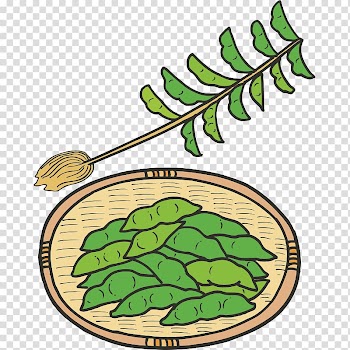Edamame Vegetable , vegetables,Fruits and Vegetables,Green,fruit,vegetables transparent background PNG clipart