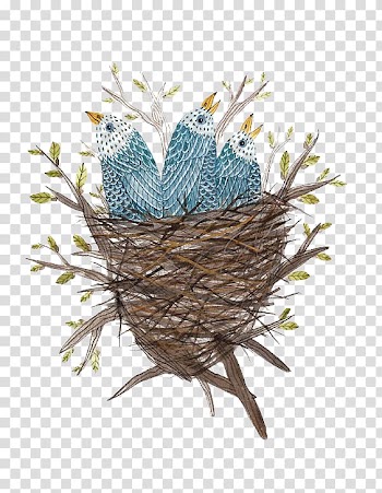 Edible birds nest Bird nest Watercolor painting, Bird's Nest transparent background PNG clipart