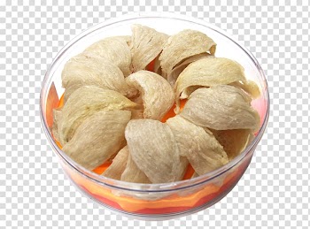 Edible birds nest Bird nest, White nest cup transparent background PNG clipart