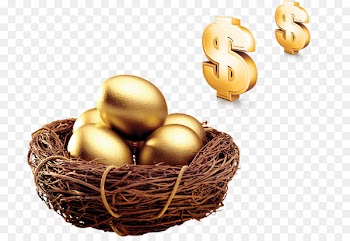 Edible birds nest Egg Bird nest - Nest money 