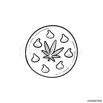 Edible cannabis cookie hand drawn outline doodle icon