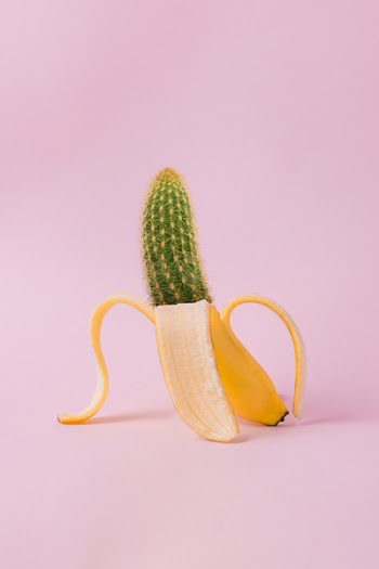Edited Photo of Banana and Cactus