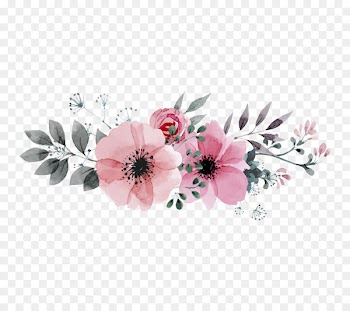 Editing Flower Photography - flower 