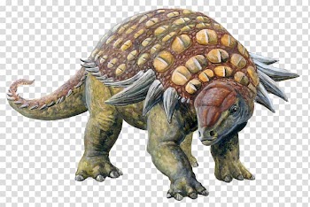 Edmontonia Sauropelta Ankylosaurus Dinosaur Armour, animal skull transparent background PNG clipart