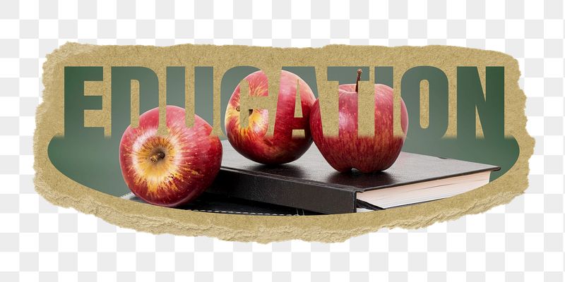 Education png word sticker, ripped | Free PNG - rawpixel