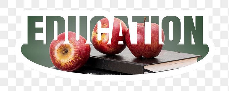 Education png word sticker, white | Free PNG - rawpixel